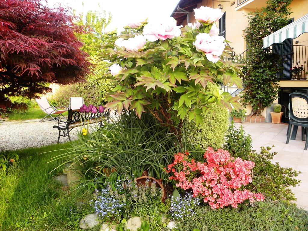 بينيرولو Bed&Breakfast La Siepe المظهر الخارجي الصورة